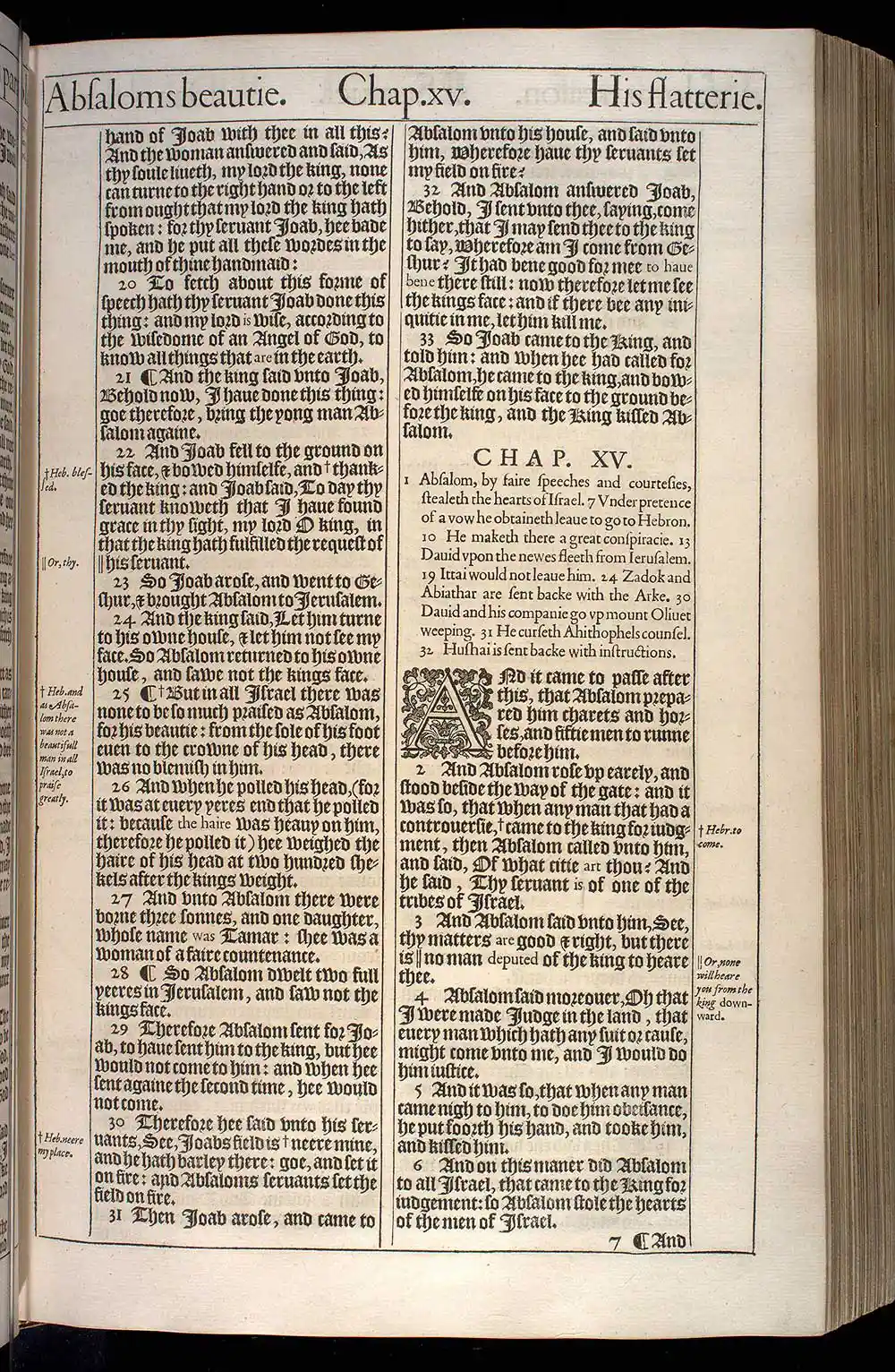 2 Samuel Chapter 14 Original 1611 KJV Bible Scan
