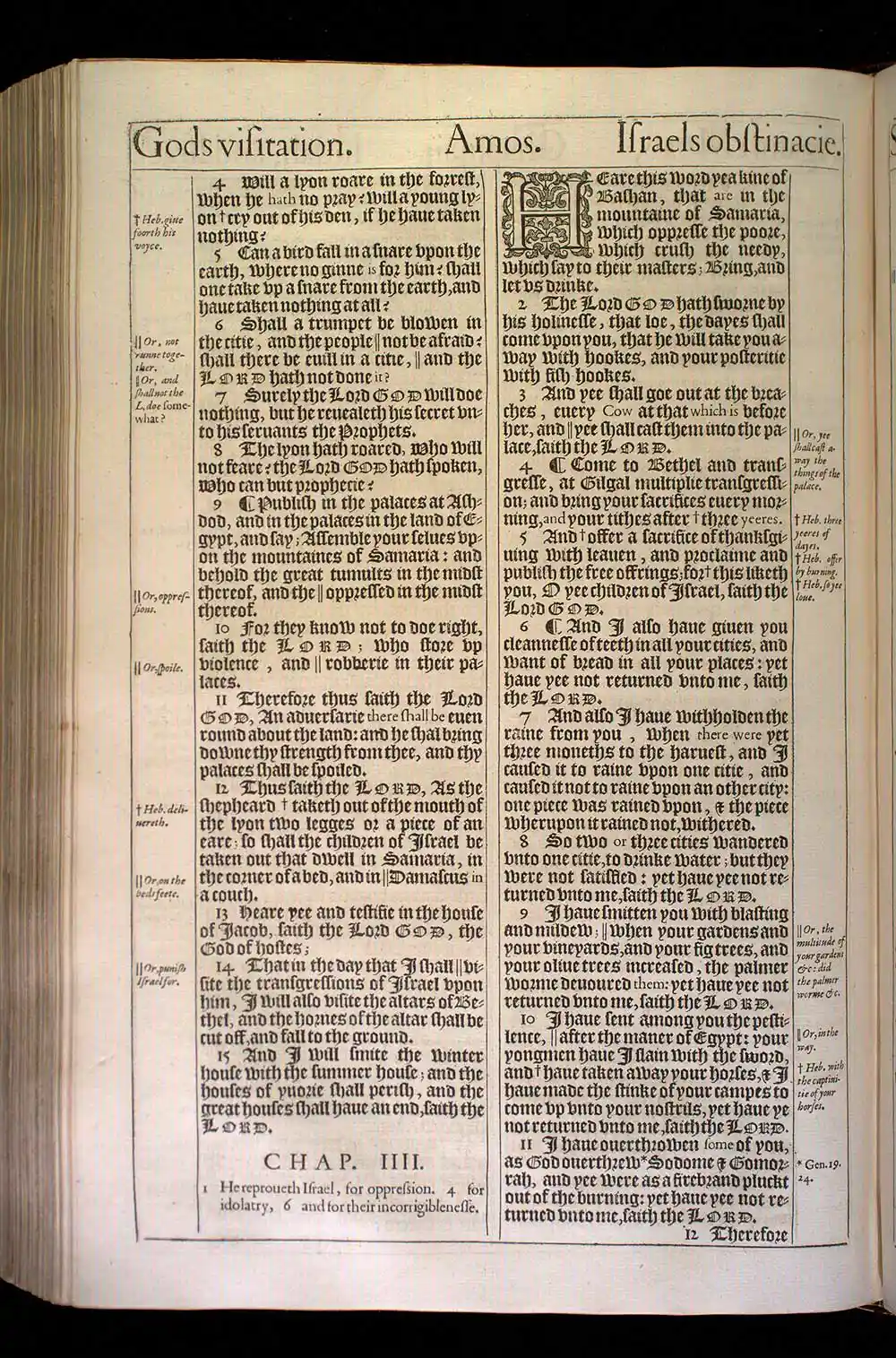 Amos Chapter 4 Original 1611 KJV Bible Scan