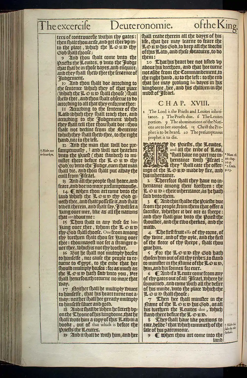 Deuteronomy Chapter 17 Original 1611 KJV Bible Scan