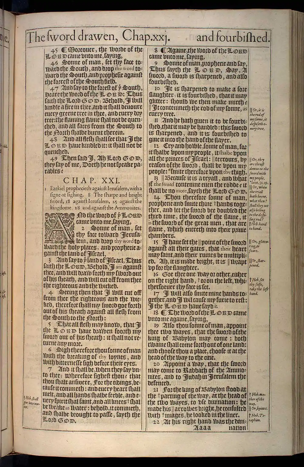 Ezekiel Chapter 20 Original 1611 KJV Bible Scan