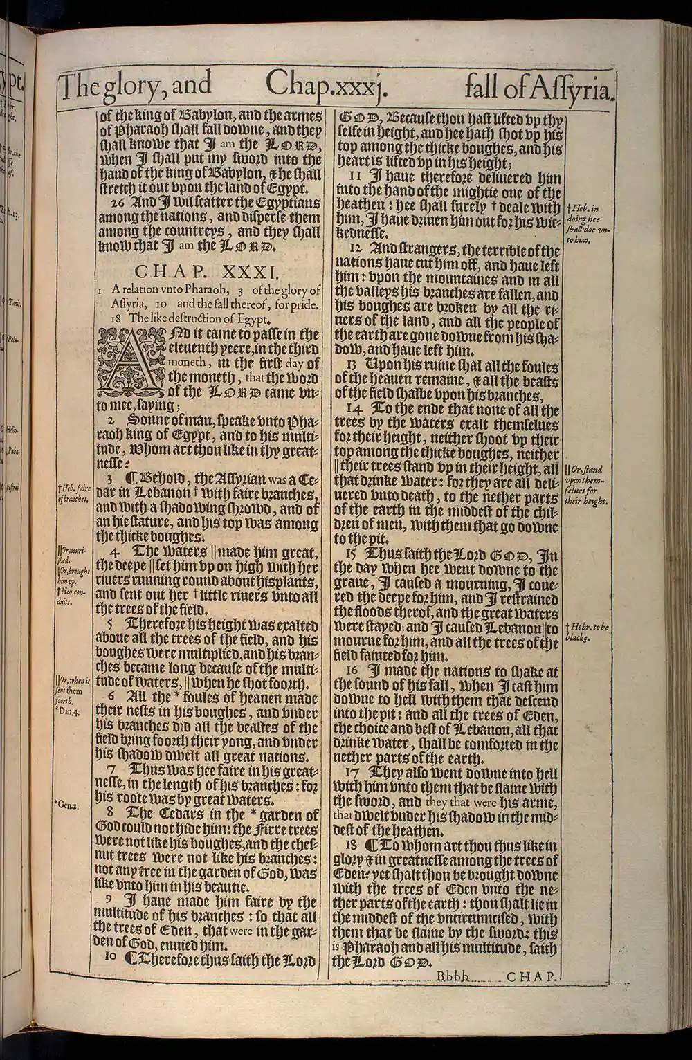 Ezekiel Chapter 30 Original 1611 KJV Bible Scan