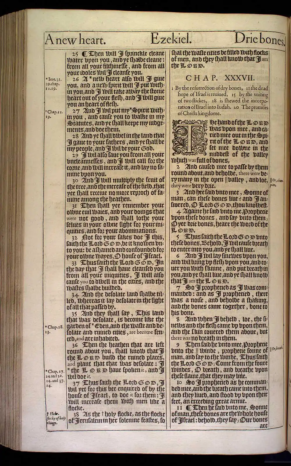 Ezekiel Chapter 37 Original 1611 KJV Bible Scan