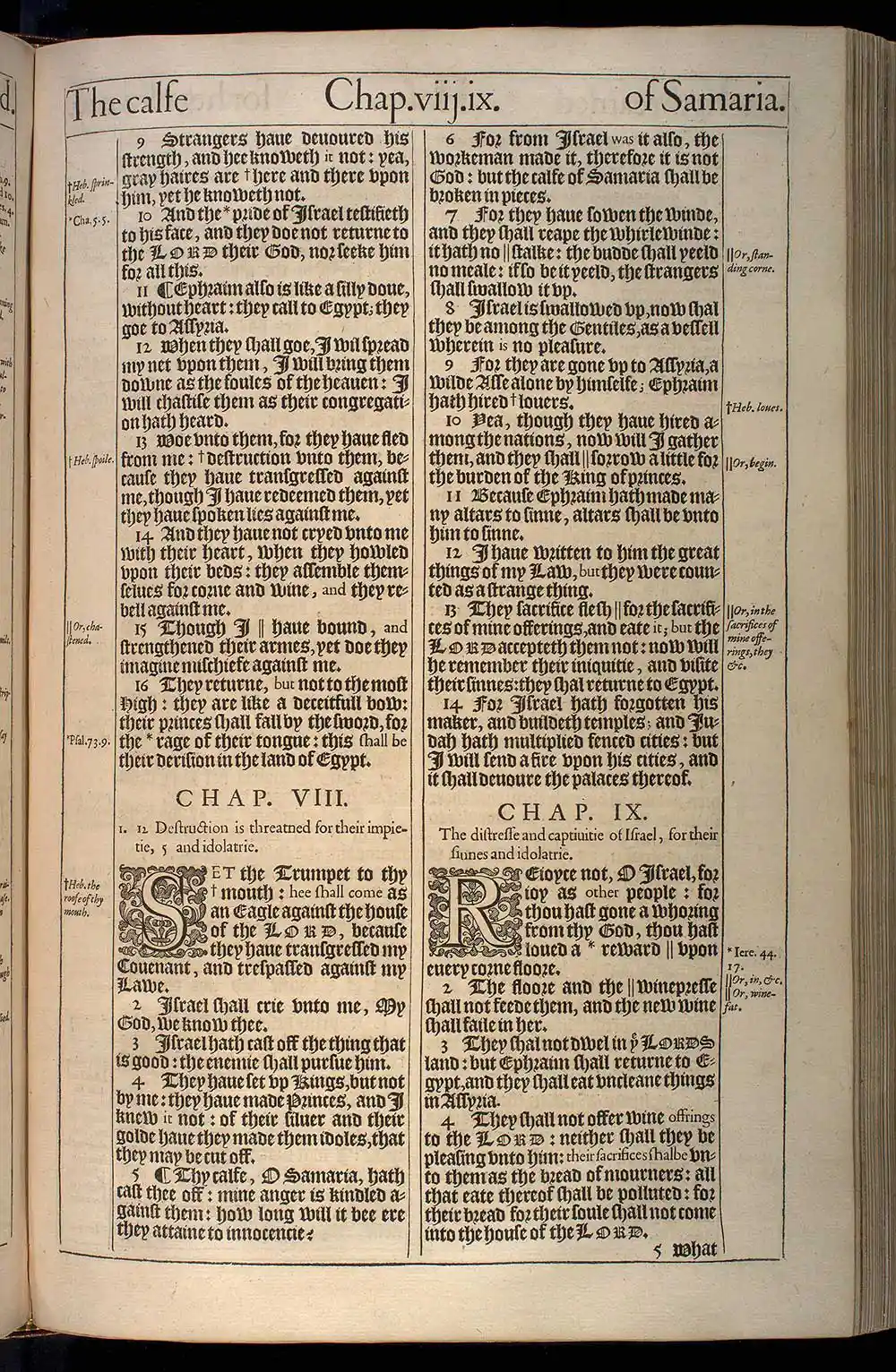Hosea Chapter 8 Original 1611 KJV Bible Scan
