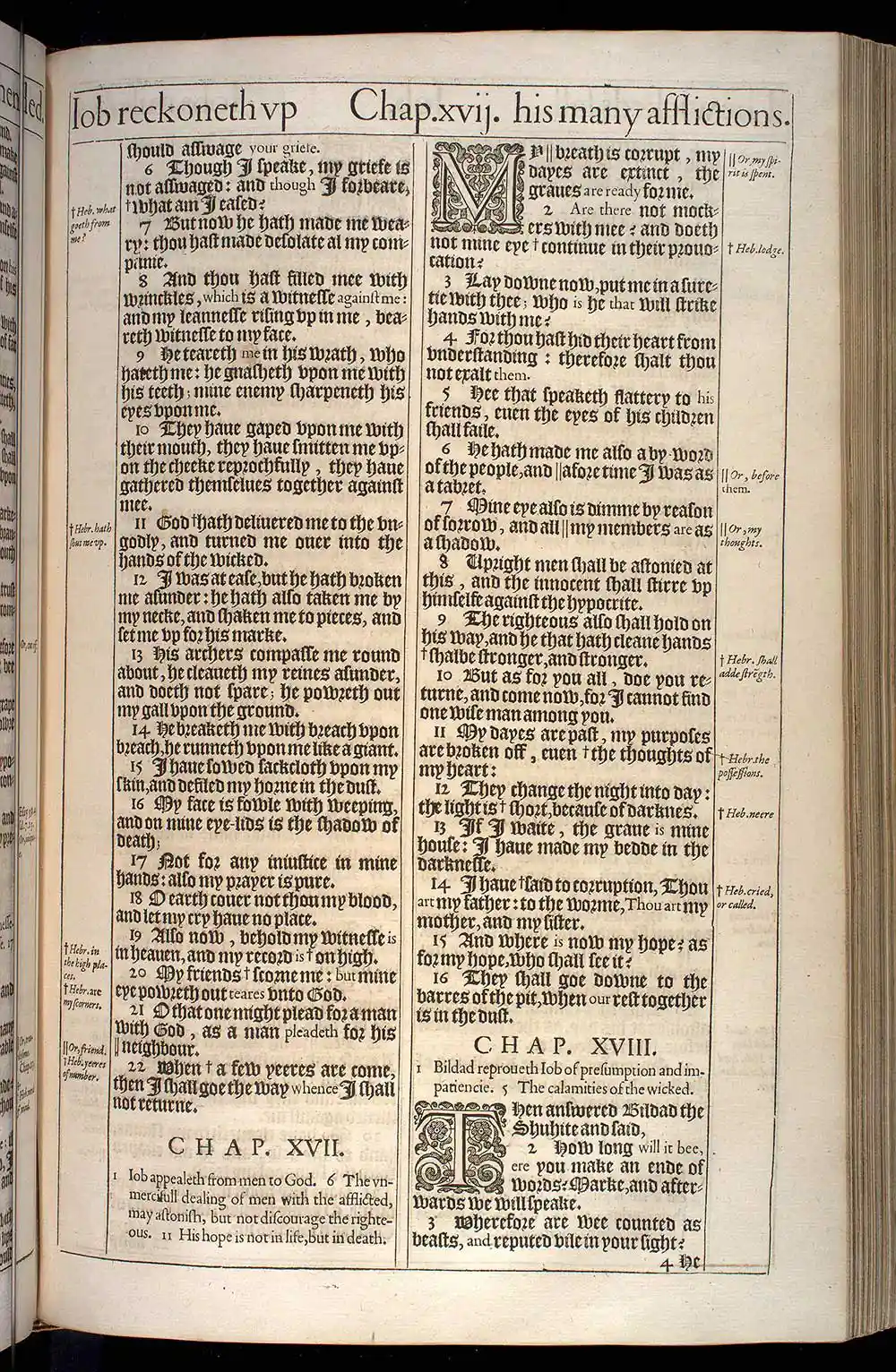 Job Chapter 16 Original 1611 KJV Bible Scan