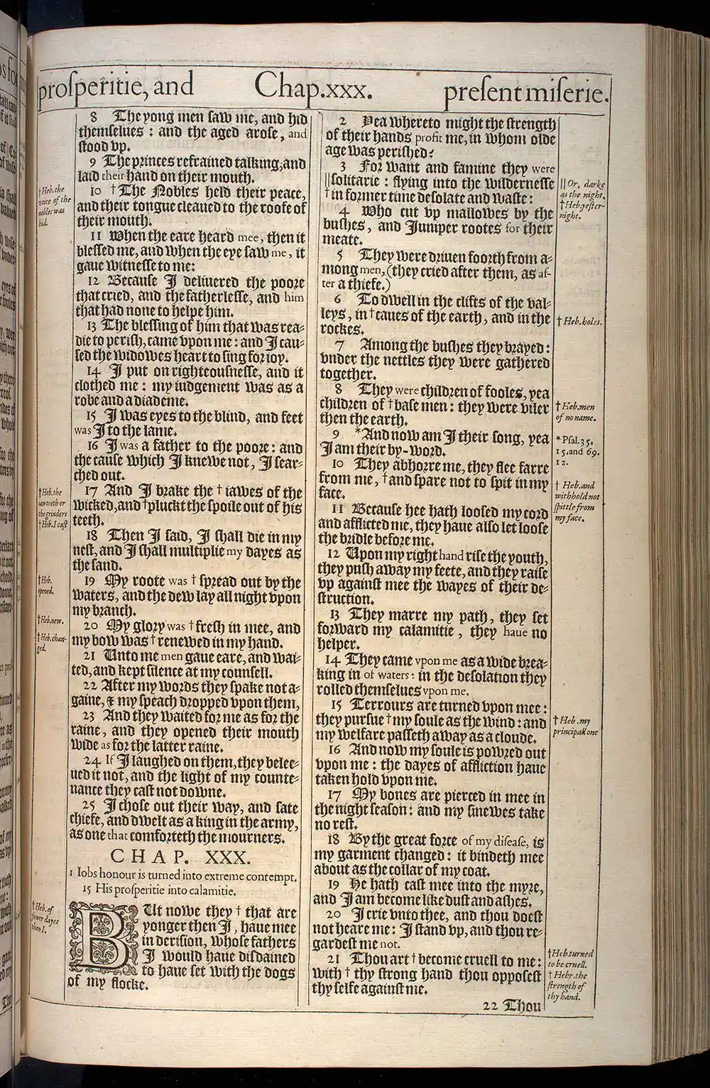 Job Chapter 29 Original 1611 KJV Bible Scan