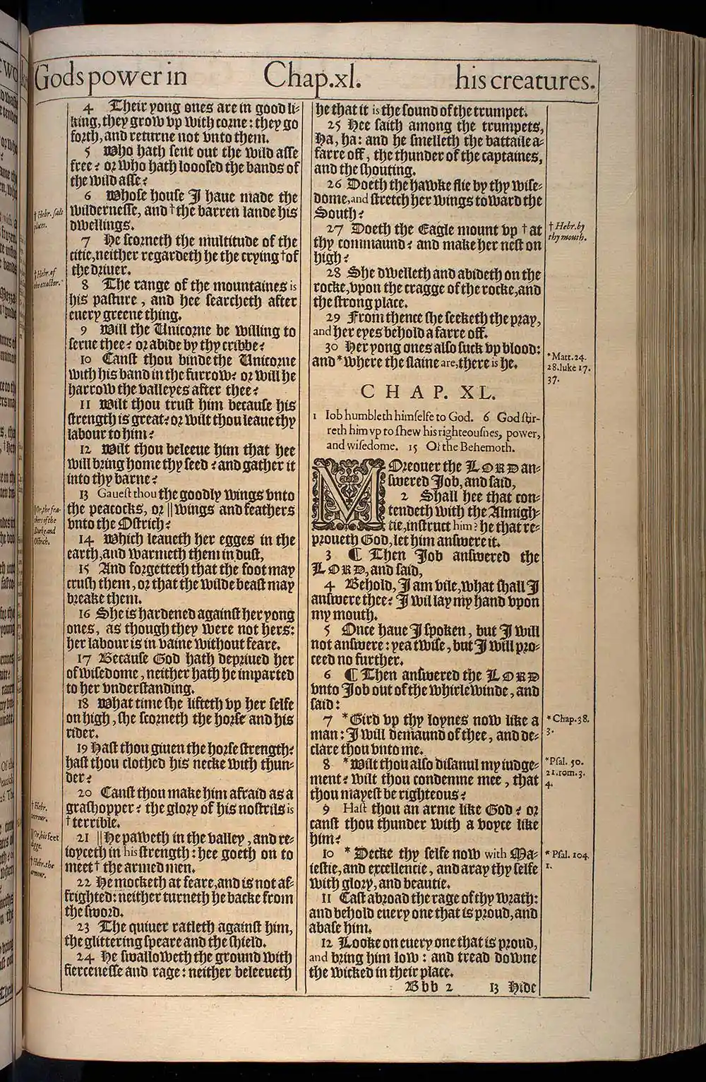 Job Chapter 40 Original 1611 KJV Bible Scan