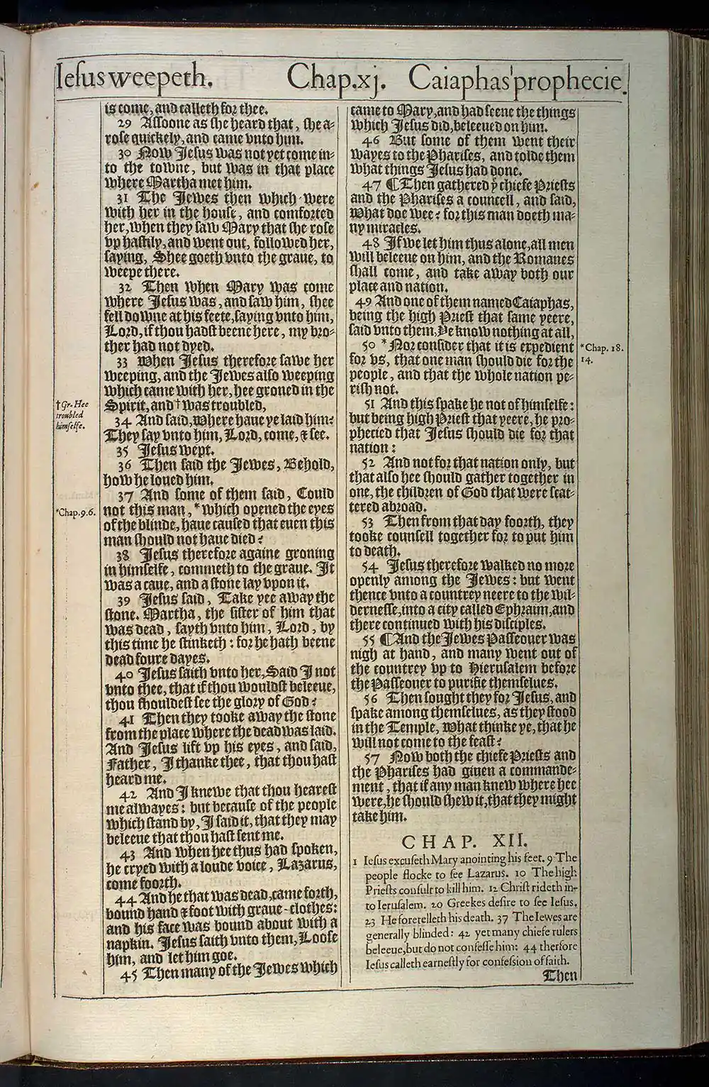 John Chapter 11 Original 1611 KJV Bible Scan