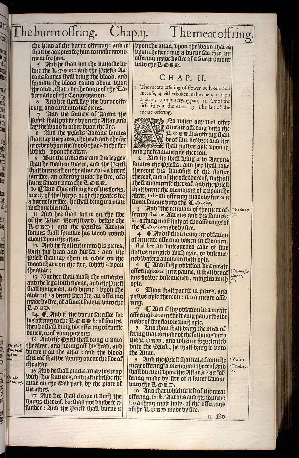 Leviticus Chapter 1 Original 1611 KJV Bible Scan