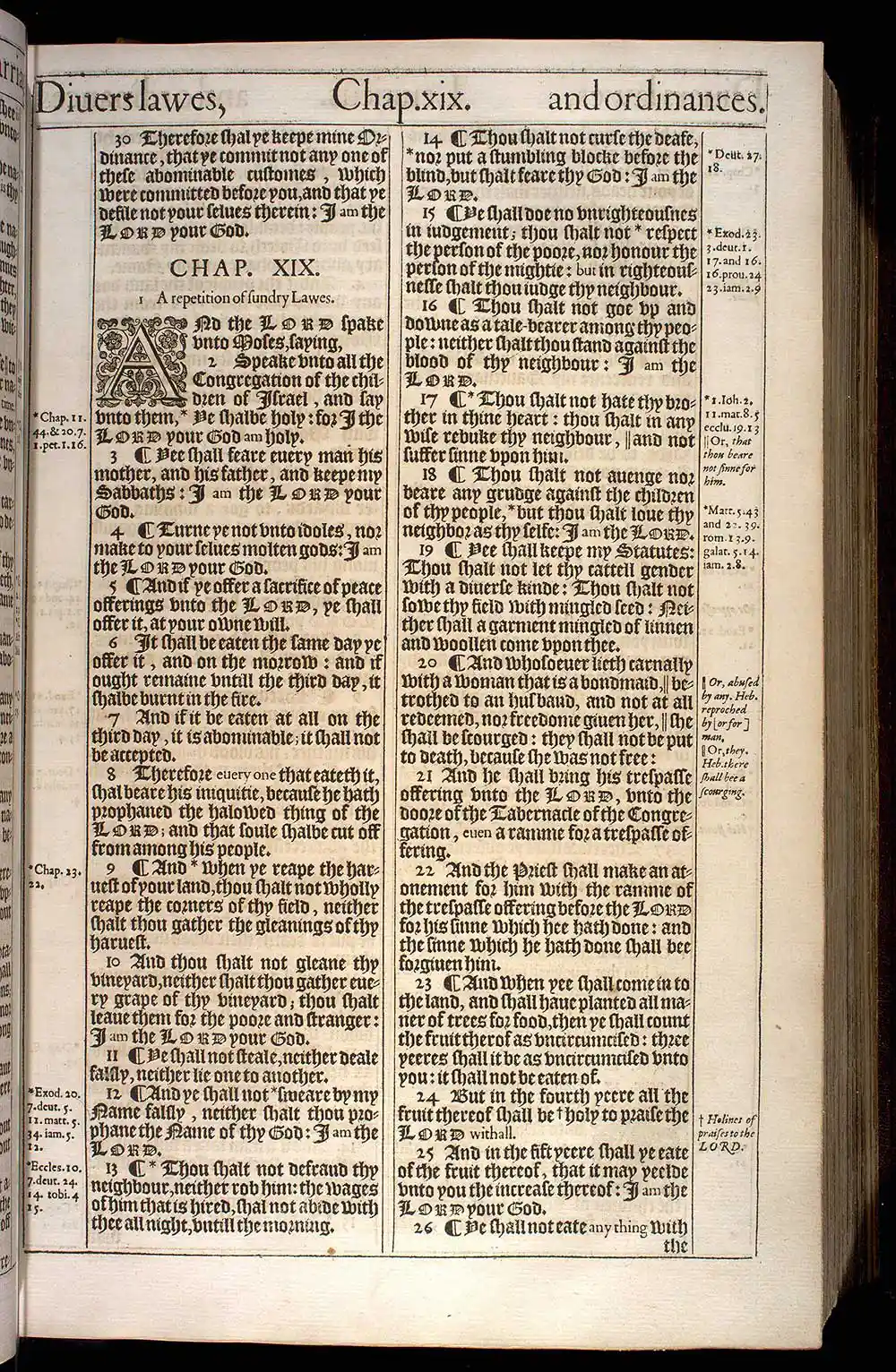Leviticus Chapter 18 Original 1611 KJV Bible Scan