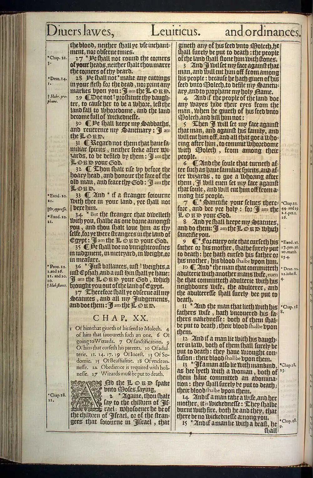 Leviticus Chapter 19 Original 1611 KJV Bible Scan
