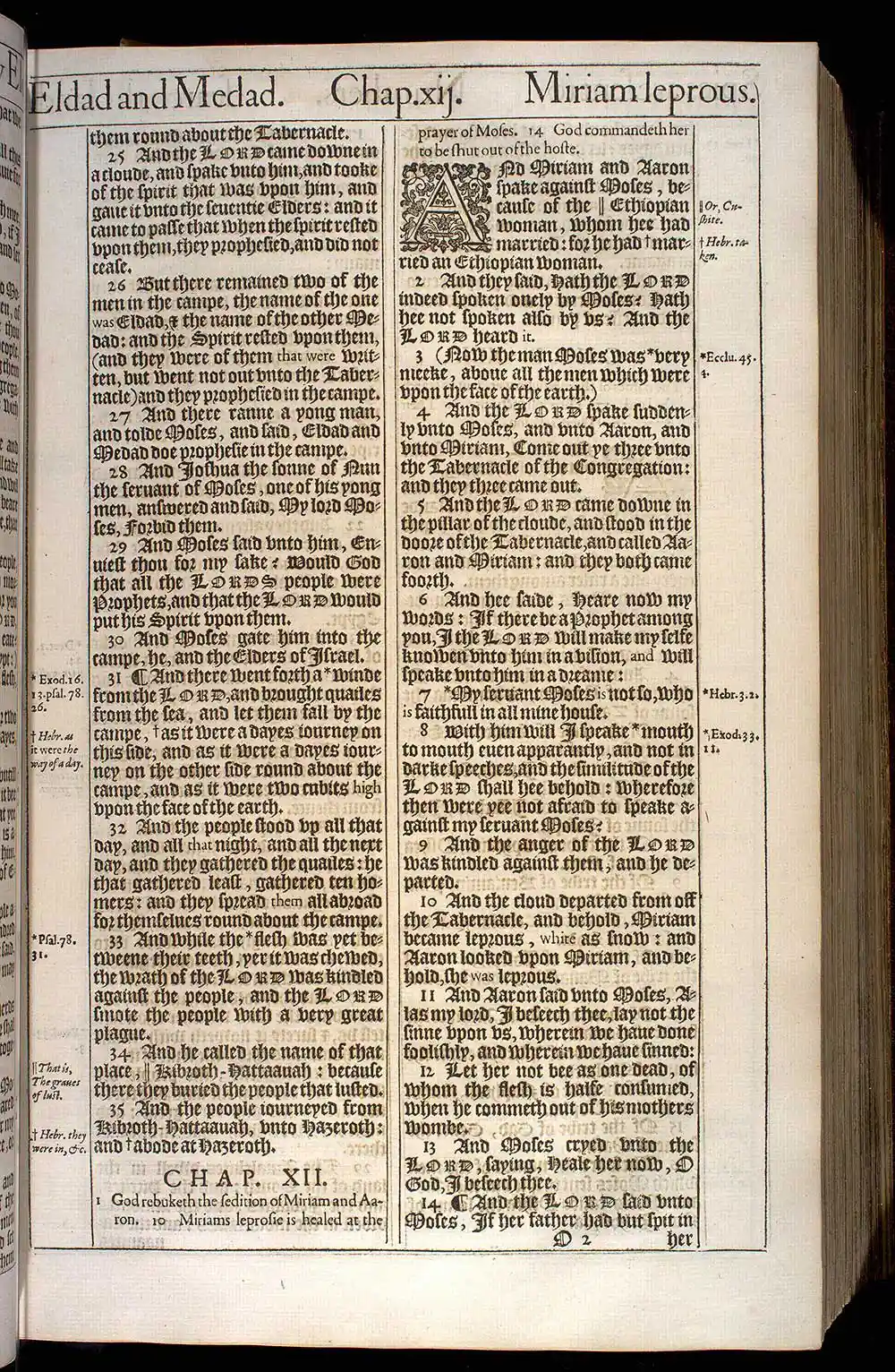 Numbers Chapter 12 Original 1611 KJV Bible Scan