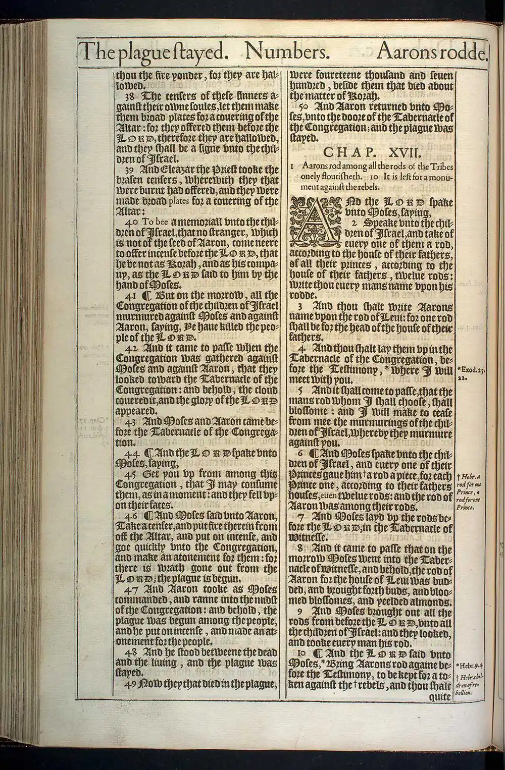 Numbers Chapter 16 Original 1611 KJV Bible Scan