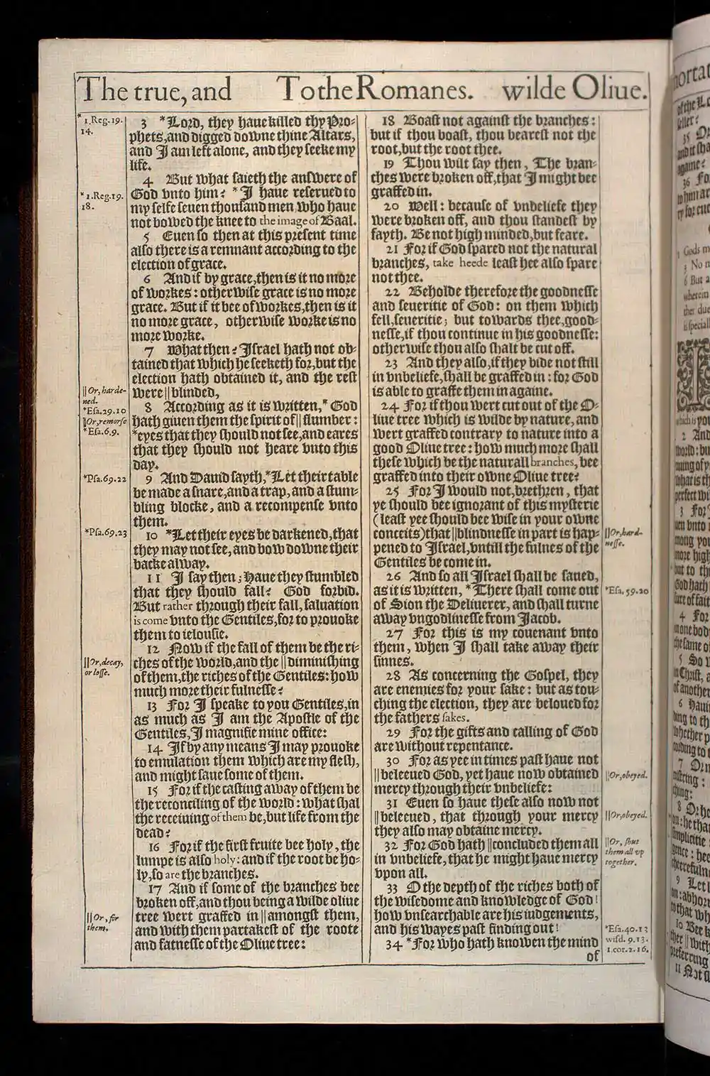 Romans Chapter 11 Original 1611 KJV Bible Scan