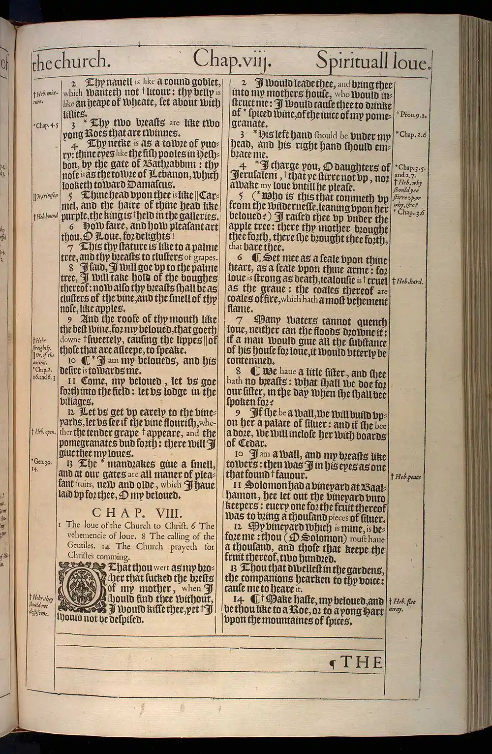 Song of Solomon Chapter 8 Original 1611 KJV Bible Scan