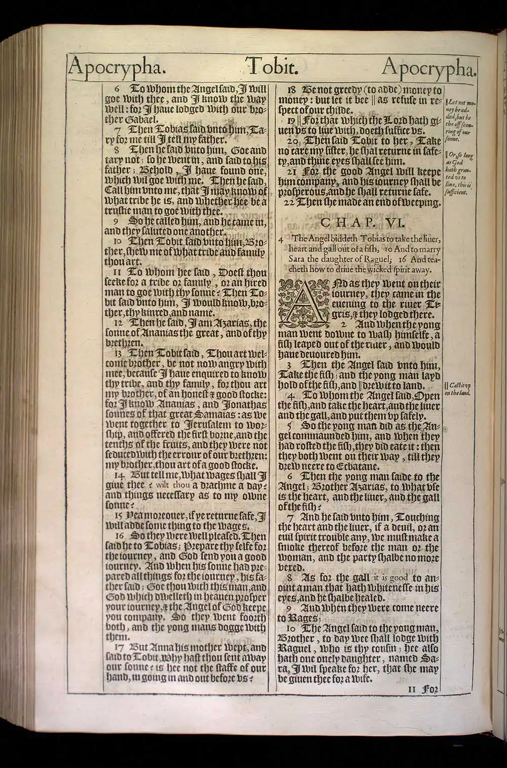 Tobit Chapter 6 Original 1611 KJV Bible Scan