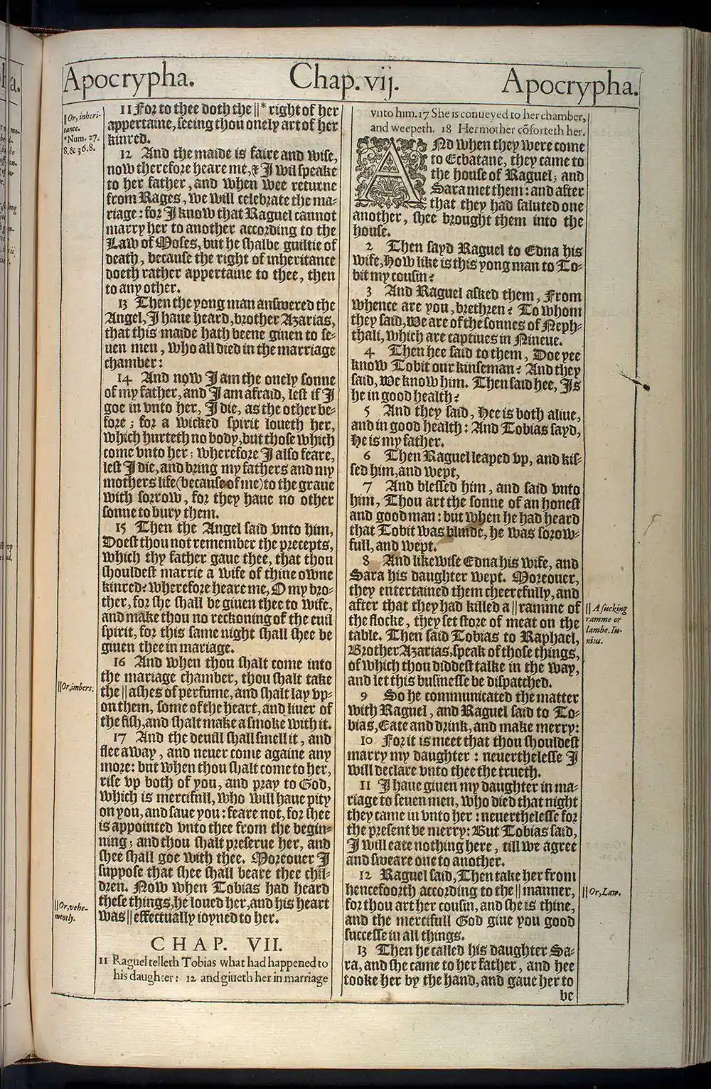 Tobit Chapter 7 Original 1611 KJV Bible Scan