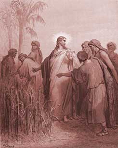 Mark Chapter 2: The Disciples Pick Corn on the Sabbath